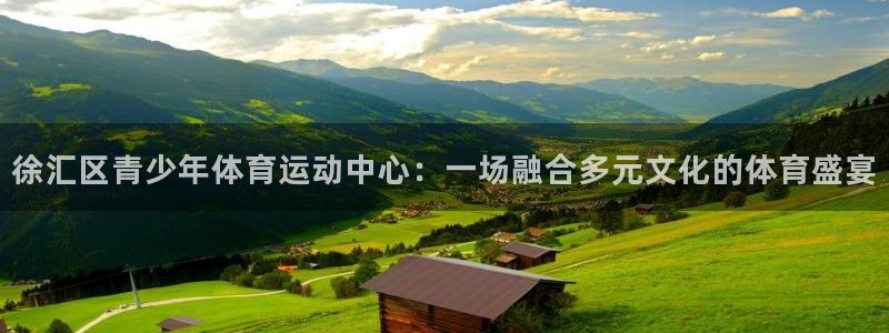 七星体育彩票中奖号码是多少：徐汇区青少年体育运动中心：一场融合多元文化的体育盛宴