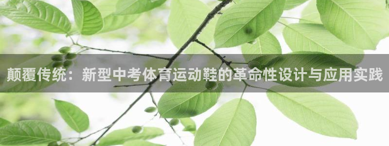 七星体育男主持：颠覆传统：新型中考体育运动鞋的革命性设计与应用实践