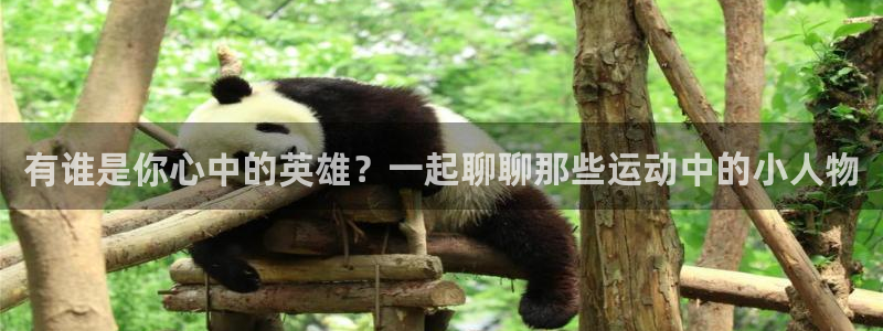 七星体育属于什么档次：有谁是你心中的英雄？一起聊聊那些运动中的小人物