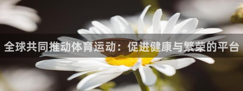 七星体育咩咩：全球共同推动体育运动：促进健康与繁荣的平台