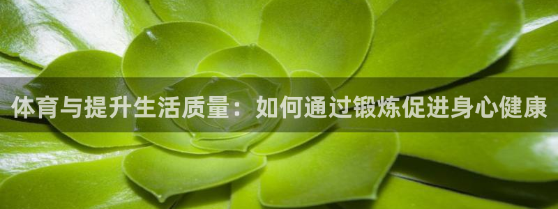 七星体育属于什么档次：体育与提升生活质量：如何通过锻炼促进身心健康