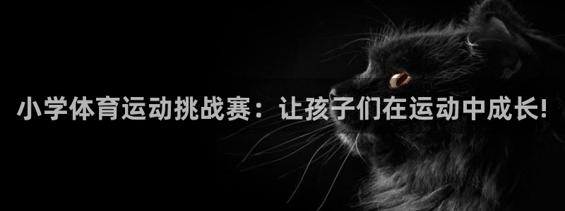 七星体育属于什么档次：小学体育运动挑战赛：让孩子们在运动中成长!