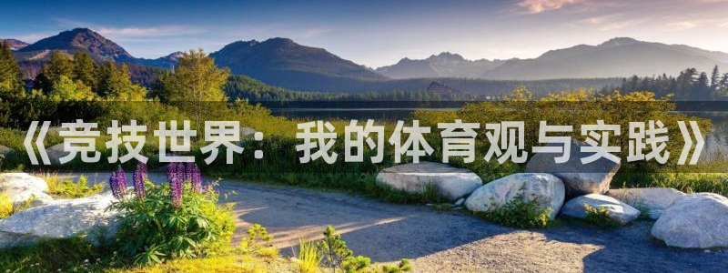 七星体育咩咩主播：《竞技世界：我的体育观与实践》
