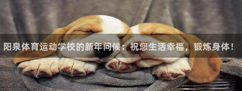 七星体育彩票结果：阳泉体育运动学校的新年问候：祝您生活幸福，锻炼身体！