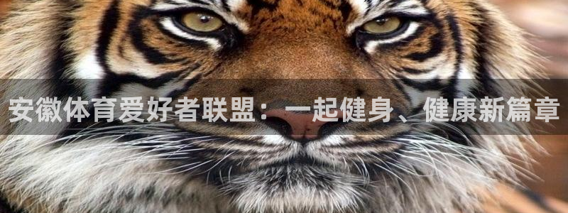 七星体育咩咩主播：安徽体育爱好者联盟：一起健身、健康新篇章